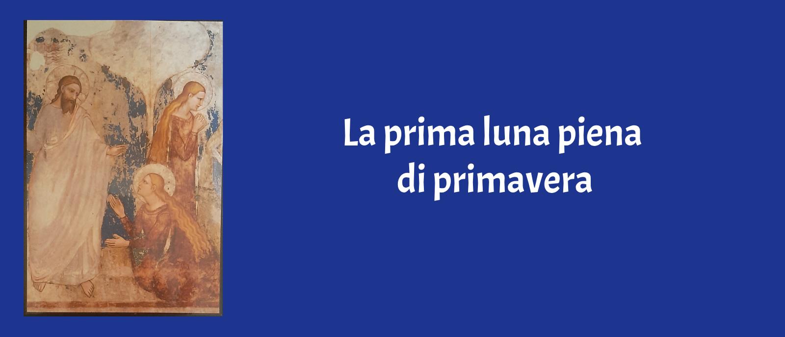 UTE Trecate